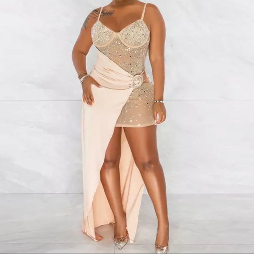 Brand Nude mesh and rhinestone dress with gold overlay